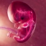 1xbet скачать: Что вам нужно знать перед началом