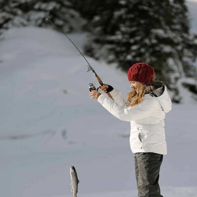 Das ultimative Erfahrungsbericht zu Ice Fishing Games - Online und Live versucht - Agro Food Industrie Ice fishing live game - Das ultimative Erfahrungsbericht zu Ice Fishing Games - Online und Live versucht