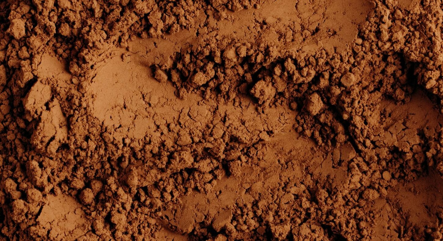 chocolat en poudre Vita Choco AGRO FOOD INDUSTRIE Maroc