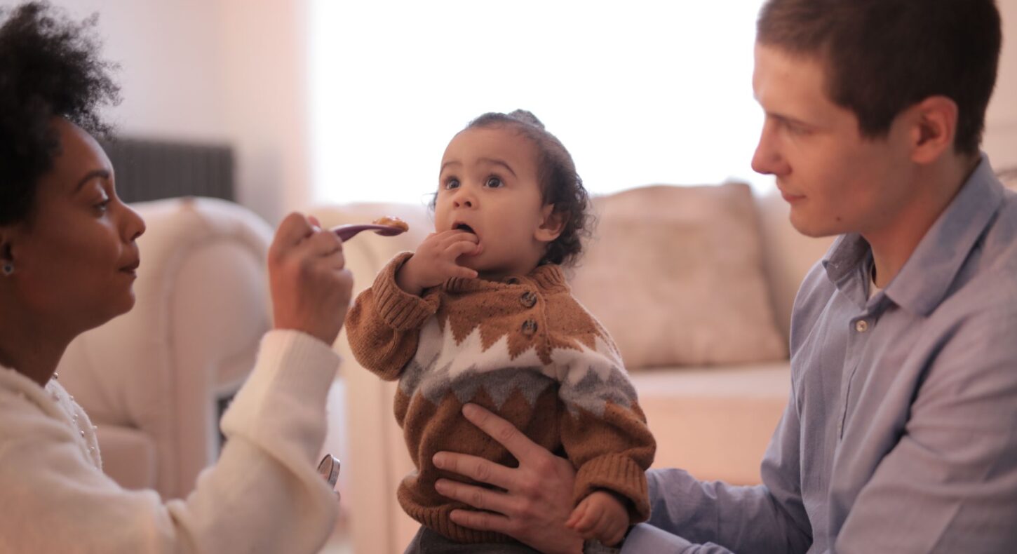 Aliments riches en fer pour bébé au Sénégal : guide complet AFI 2026 - Agro Food Industrie